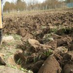 Как правильно вскапывать огород вручную лопатой: сколько раз и когда