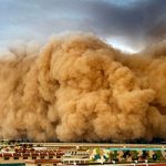 dream book sandstorm