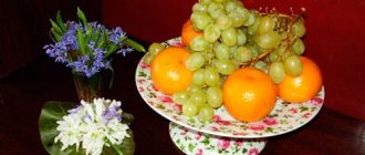 dream book bowl of fruit