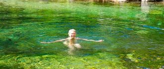 сонник зеленая вода